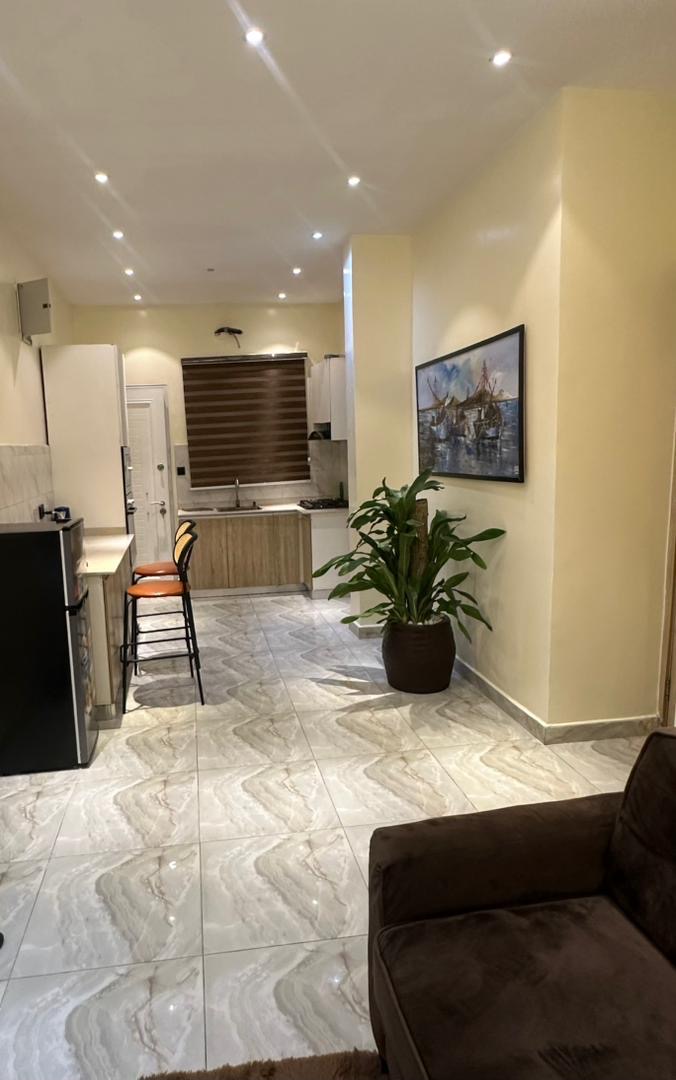 Our 2-bedroom shortlet is perfectly located near the Lekki Conservation Center, photo 2