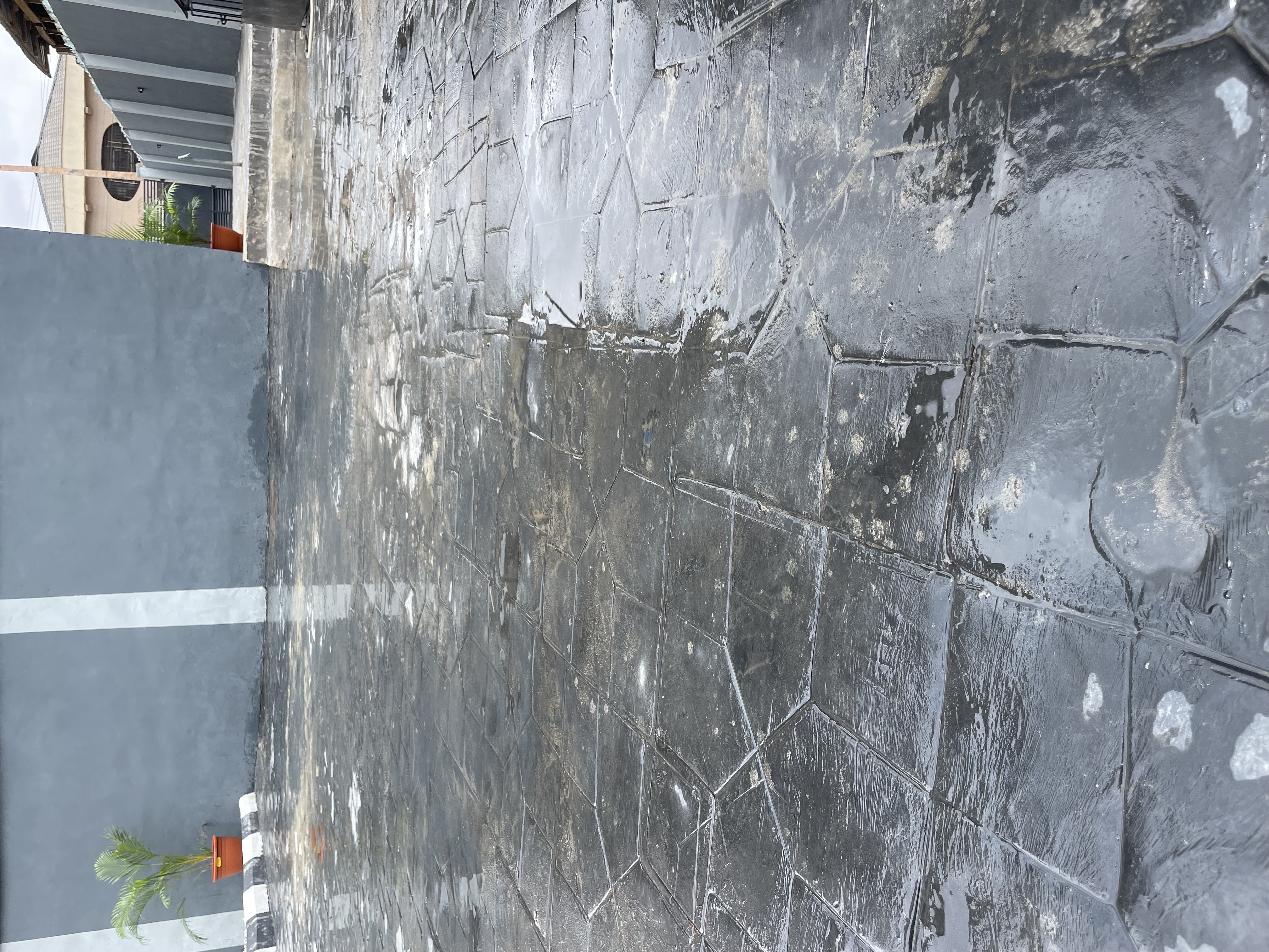 CozyCourt Apartments photo 10